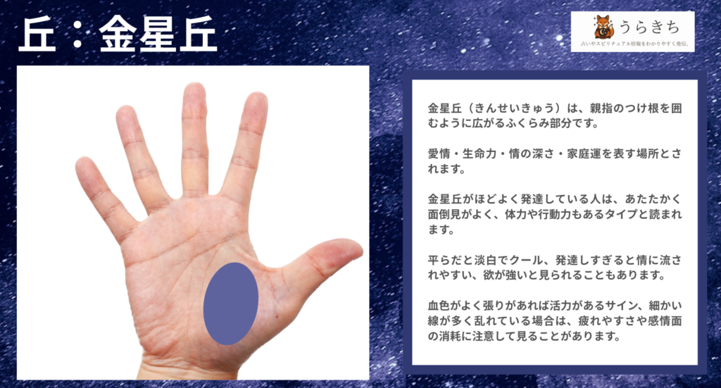 金星丘手相の図解