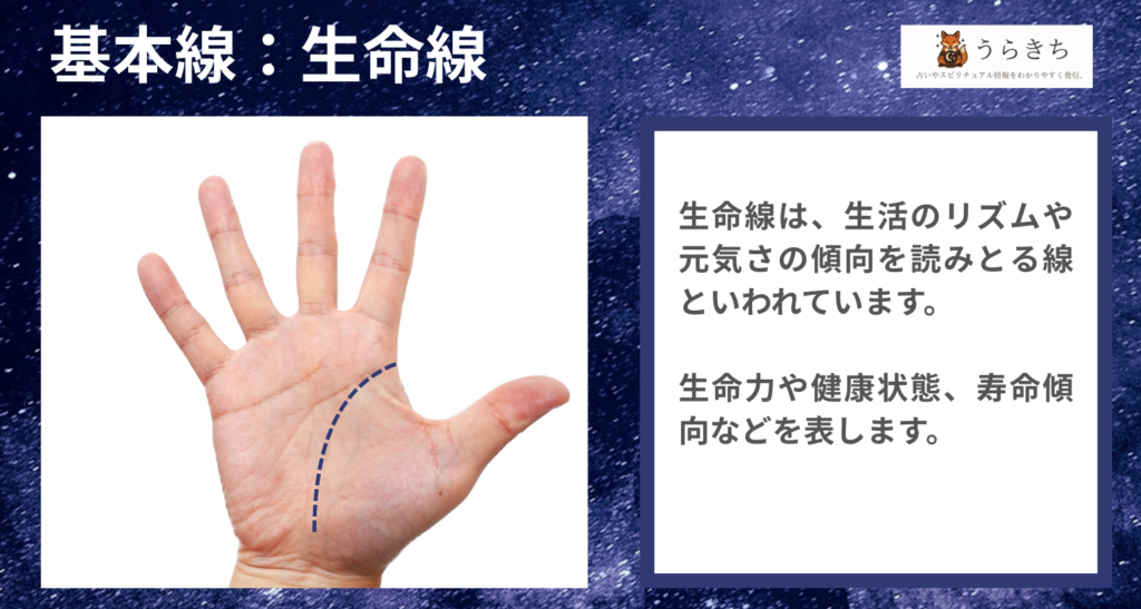 生命線手相の図解